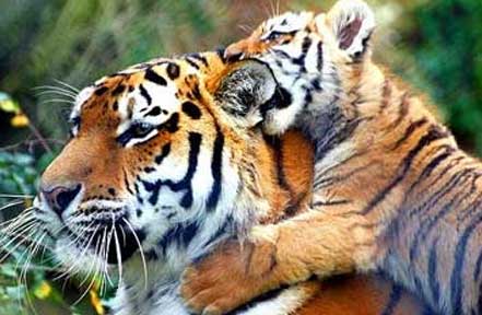 best time visit periyar